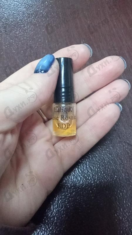 Духи Lalique Rose Royale Купить Rose Royale от Lalique