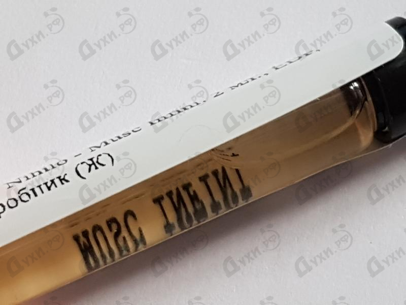 Купить Ex Nihilo Musc Infini