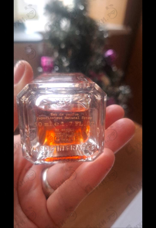 Купить Ex Nihilo Oud Vendome