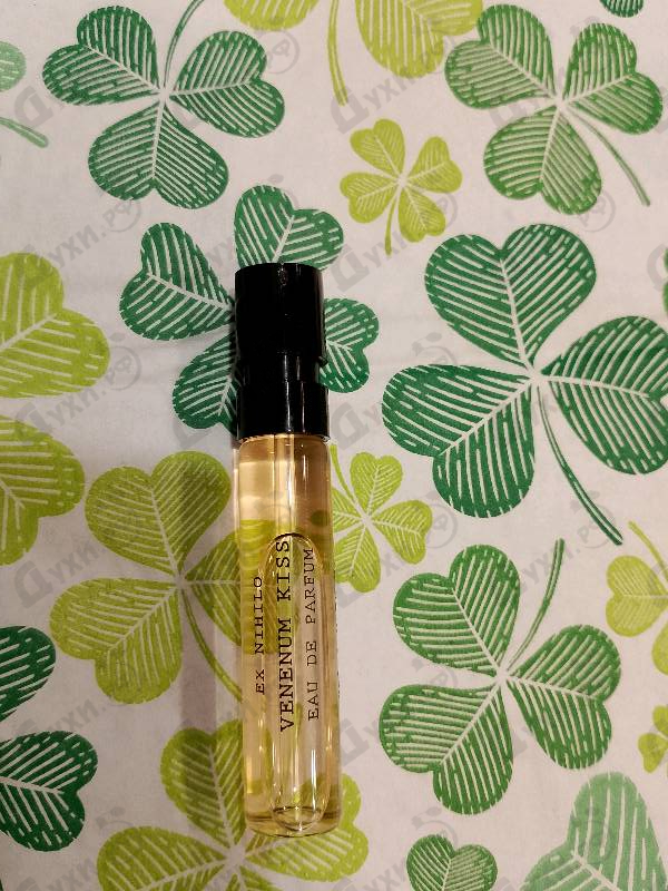 Купить Ex Nihilo Venenum Kiss