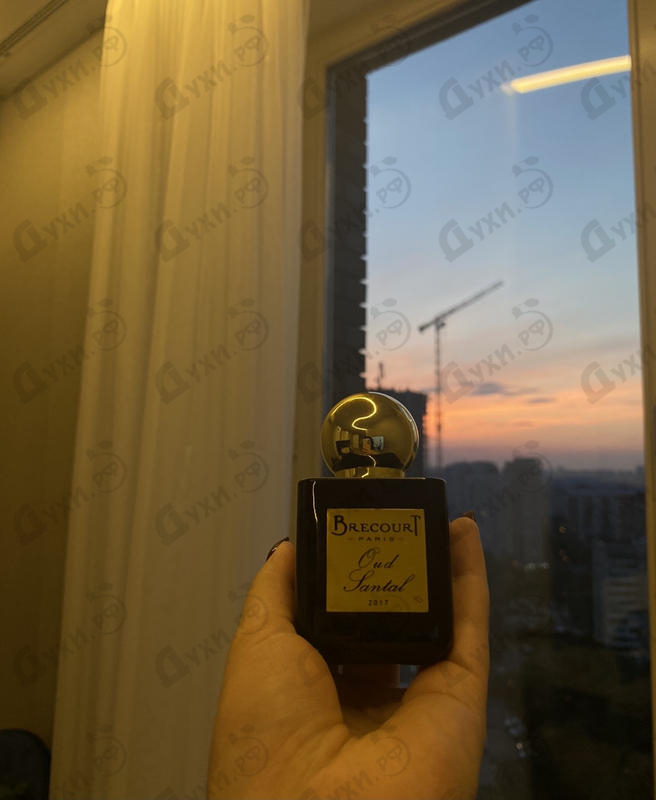 Парфюмерия Brecourt Oud Santal