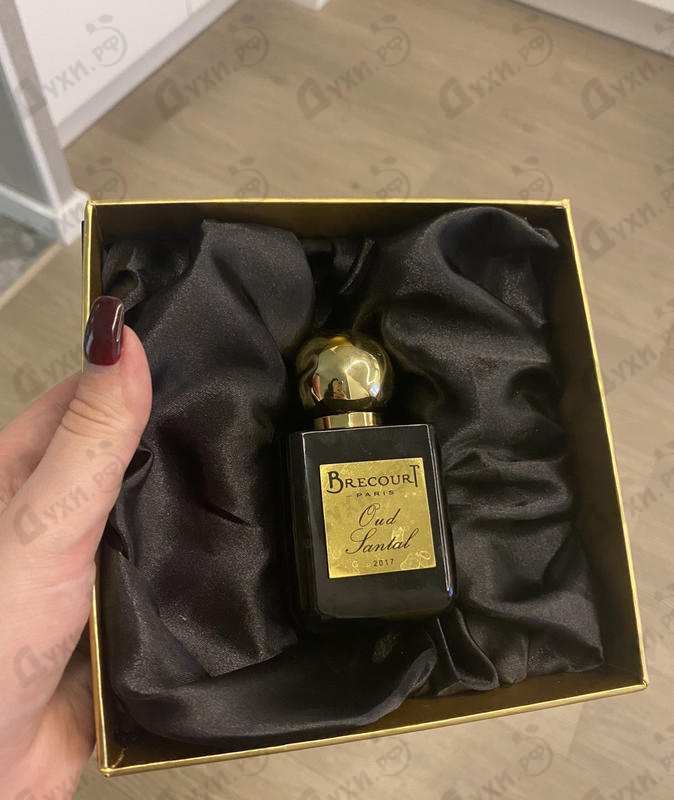 Парфюмерия Oud Santal от Brecourt