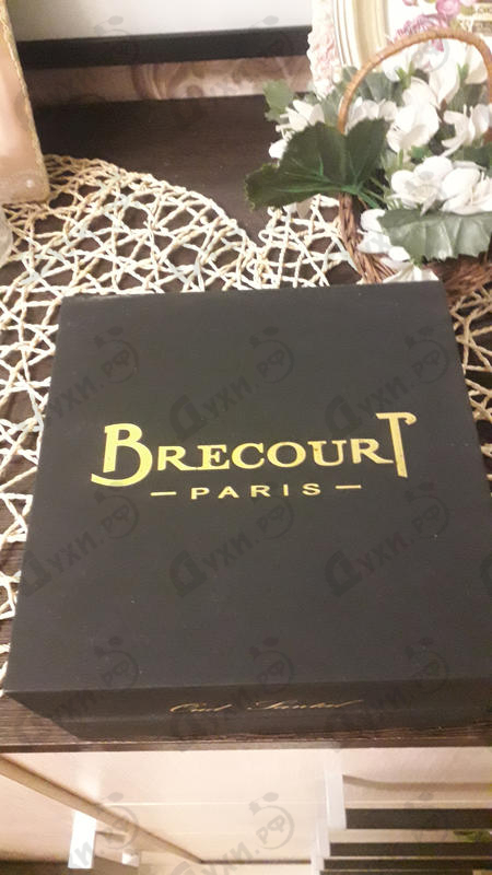 Духи Oud Santal от Brecourt
