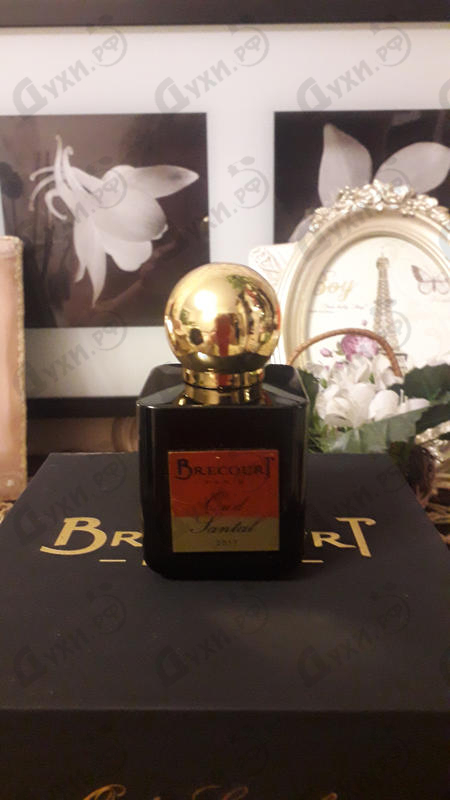 Парфюмерия Oud Santal от Brecourt
