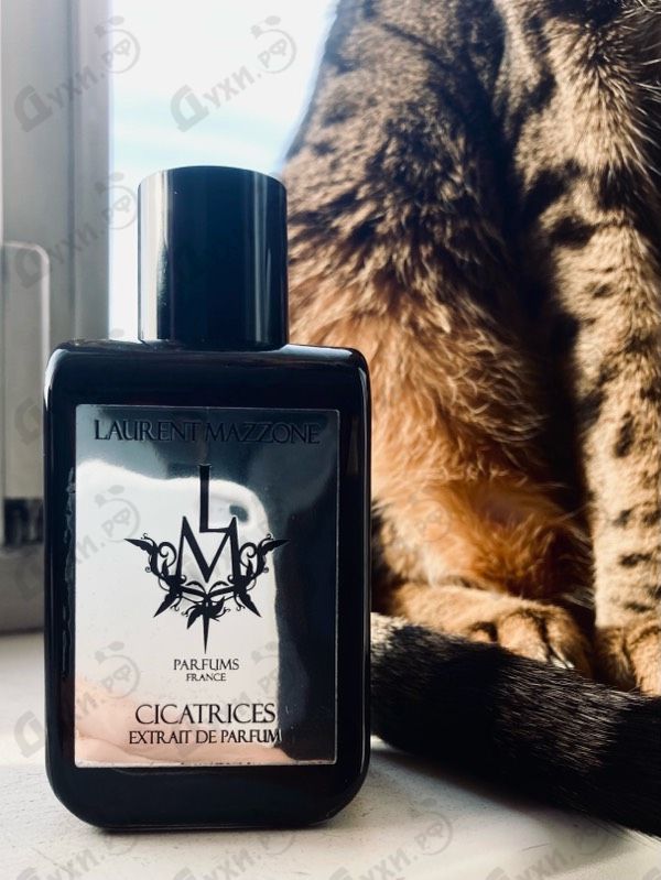 Купить LM Parfums Cicatrices