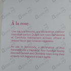 Отзыв Maison Francis Kurkdjian A La Rose