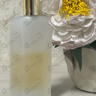 Отзывы Memo Ilha Do Mel