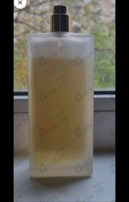 Купить Ilha Do Mel от Memo