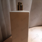 Отзывы Memo Ilha Do Mel