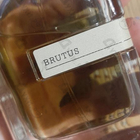 Отзывы Orto Parisi Brutus