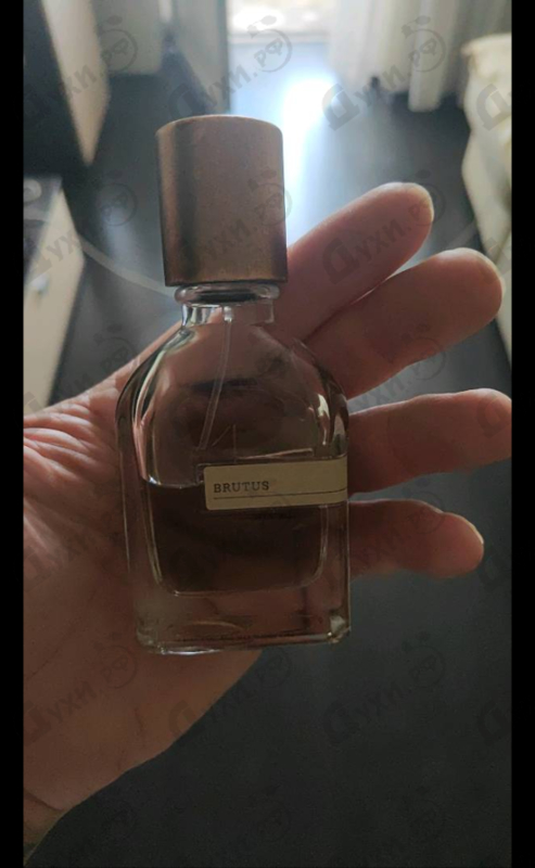 Купить Brutus от Orto Parisi