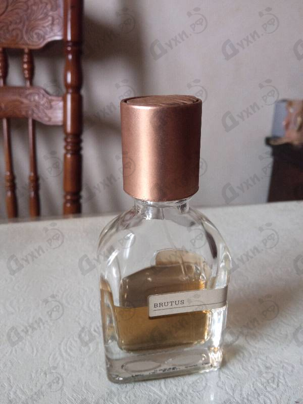 Купить Brutus от Orto Parisi