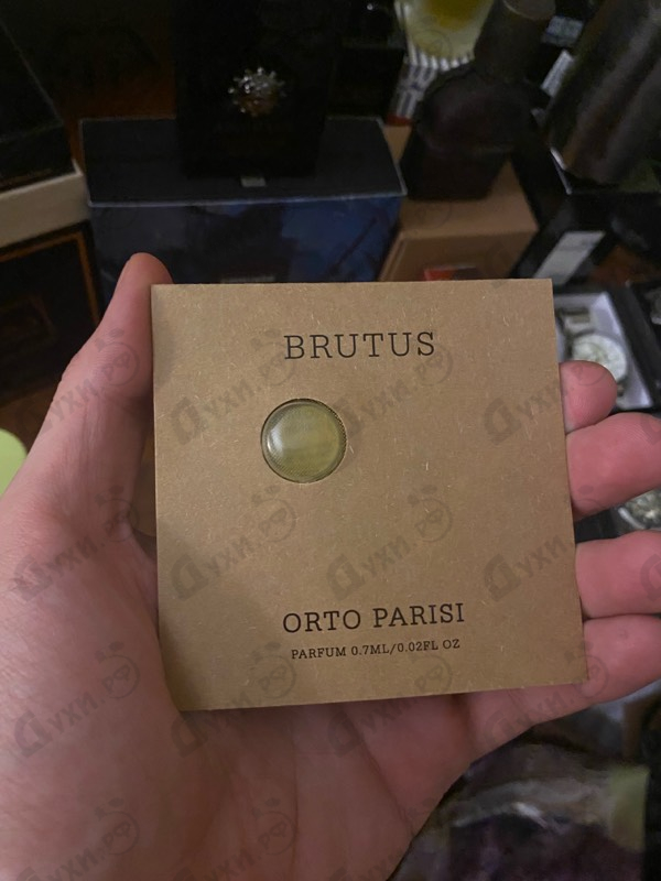 Парфюмерия Brutus от Orto Parisi