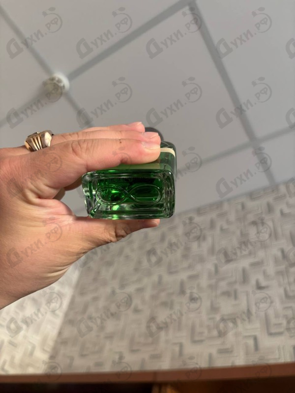 Купить Viride от Orto Parisi