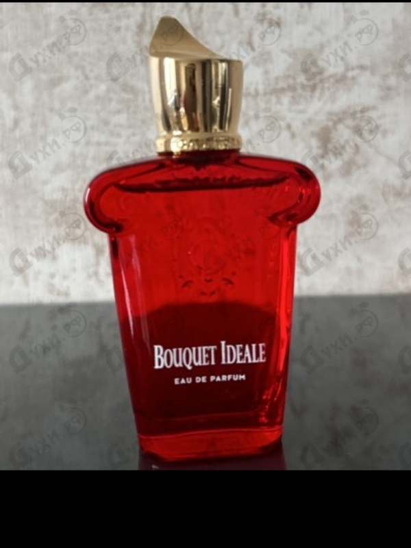 Купить Bouquet Ideale от Xerjoff