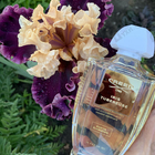 Духи Iris Tubereuse от Creed