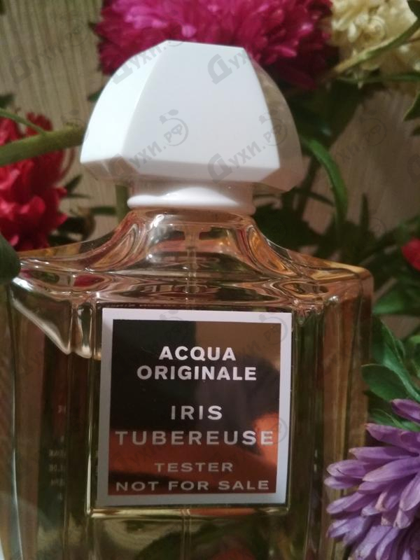 Духи Iris Tuberose от Creed