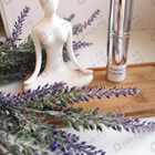 Парфюм Ormonde Jayne Champaca