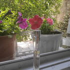 Отзывы Ormonde Jayne Champaca