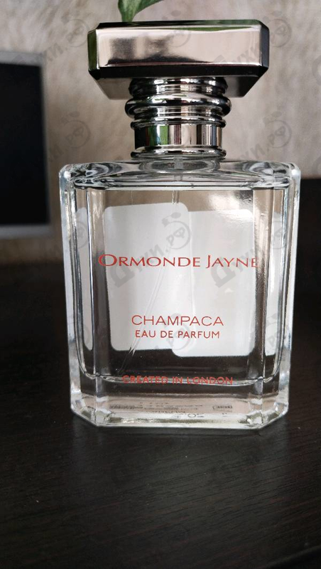 Купить Ormonde Jayne Champaca