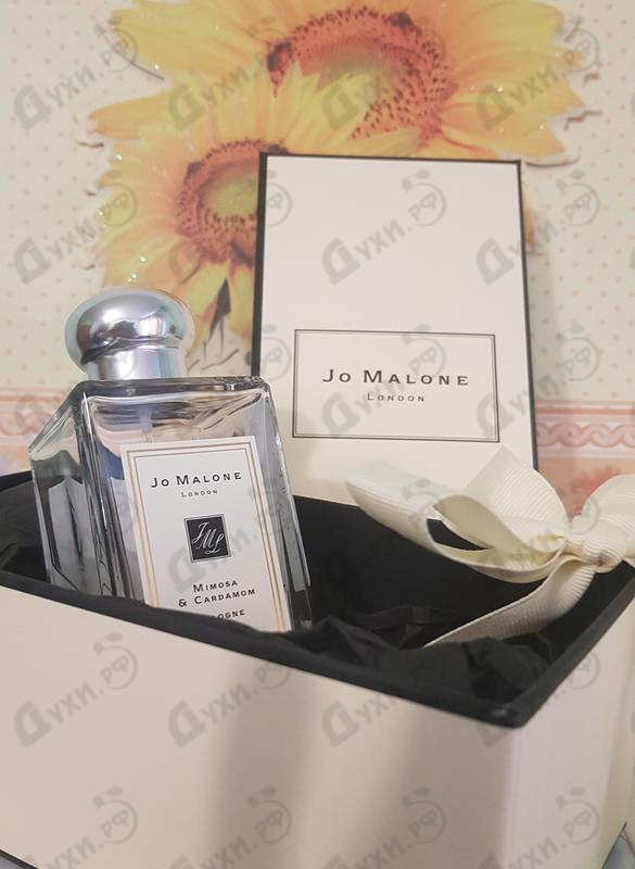 Парфюмерия Mimosa & Cardamom от Jo Malone