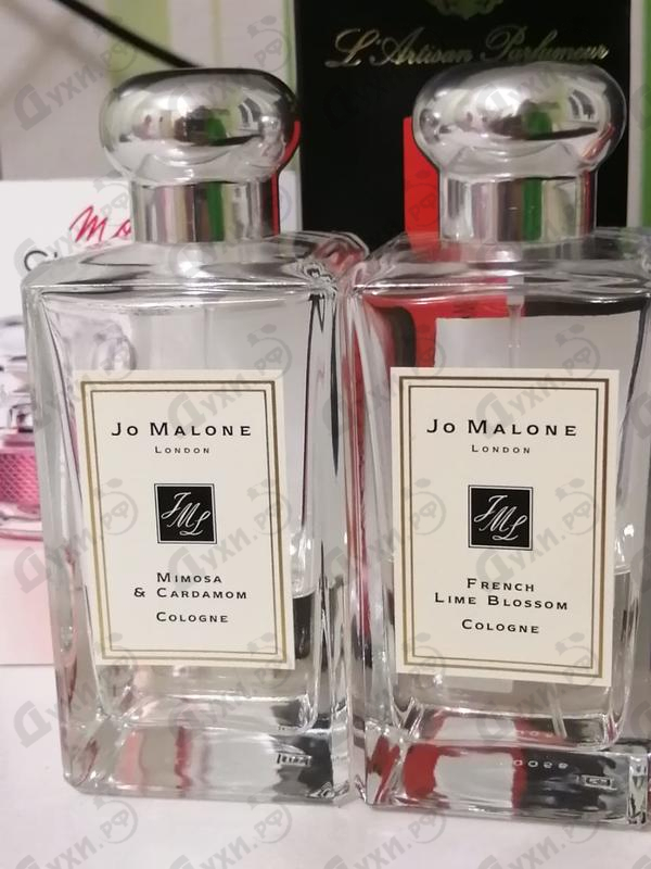 Духи Mimosa & Cardamom от Jo Malone Отзывы Jo Malone Mimosa & Cardamom