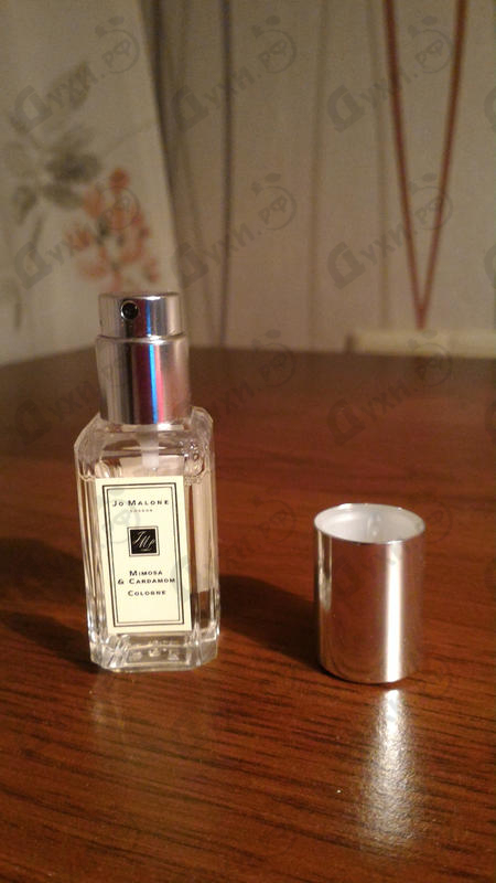Духи Mimosa & Cardamom от Jo Malone Отзывы Jo Malone Mimosa & Cardamom