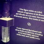 Отзыв Terry de Gunzburg Flagrant Delice