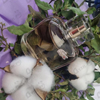 Духи L.12.12 Pour Elle Elegant от Lacoste