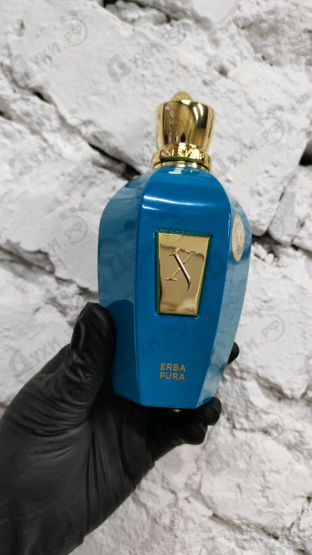 Купить (Sospiro) Erba Pura от Xerjoff