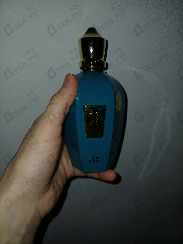 Отзывы Xerjoff (Sospiro) Erba Pura