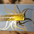 Купить Sunshine от Amouage Купить Amouage Sunshine