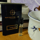 Отзывы Montale Starry Nights