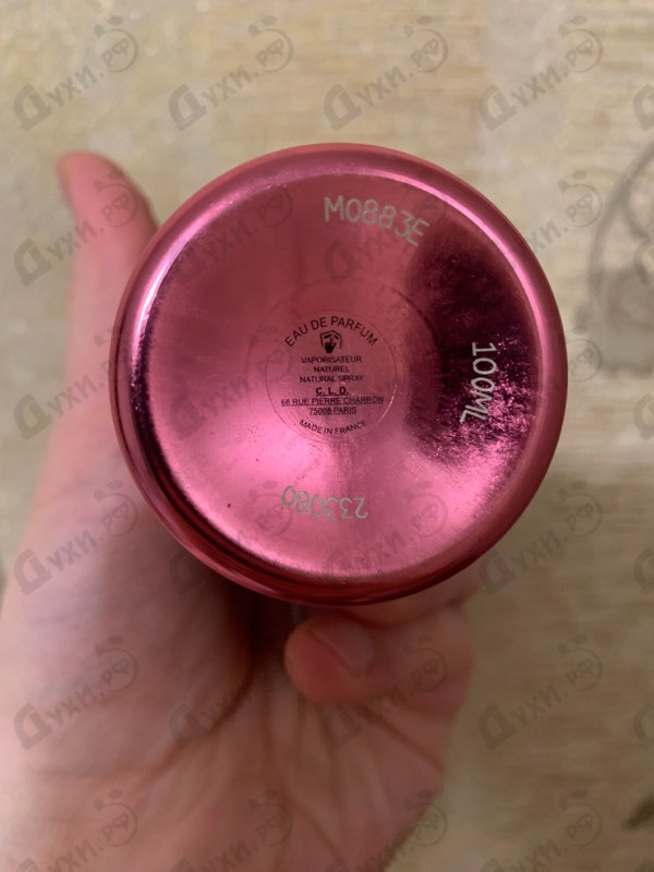 Купить Starry Nights от Montale