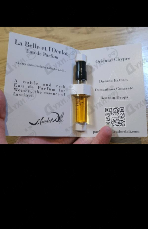 Купить Salvador Dali La Belle Et L'ocelot