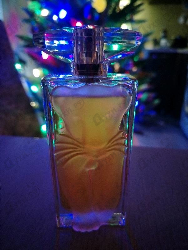 Купить Salvador Dali La Belle Et L'ocelot