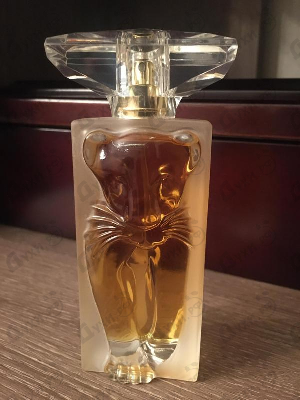 Парфюм Salvador Dali La Belle Et L'ocelot Купить La Belle Et L'ocelot от Salvador Dali