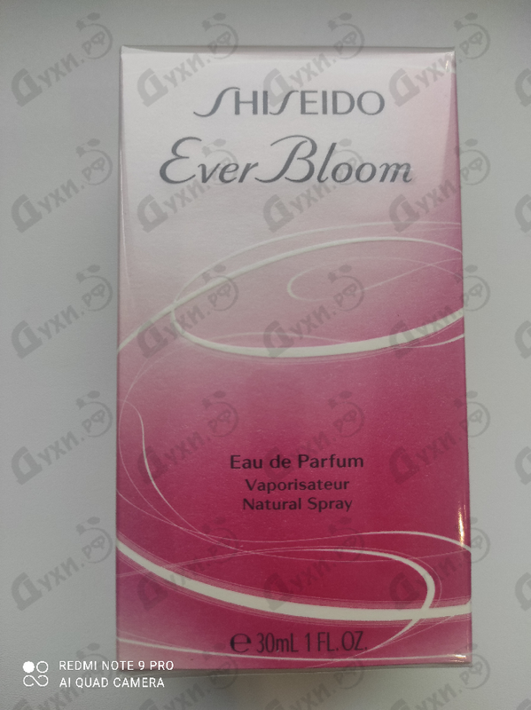 Отзывы Shiseido Ever Bloom