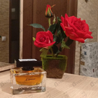 Духи The One Essence от Dolce & Gabbana