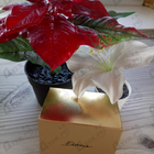 Парфюм Dolce & Gabbana The One Essence