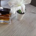 Отзывы Dolce & Gabbana The One Essence