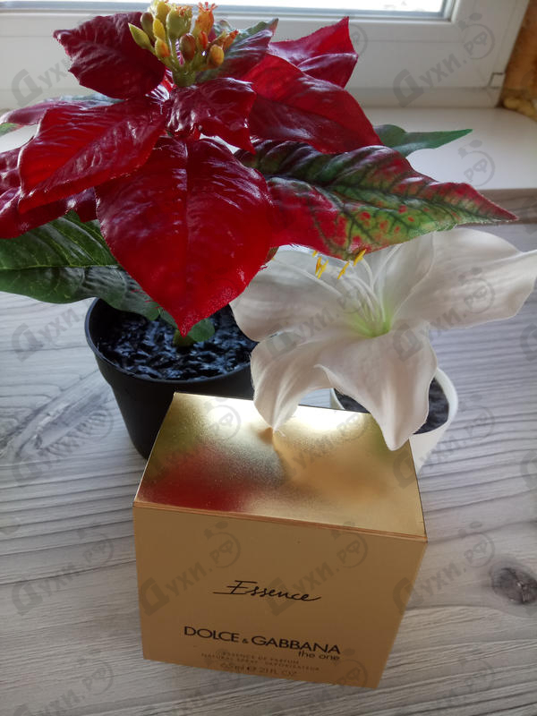 Купить Dolce & Gabbana The One Essence