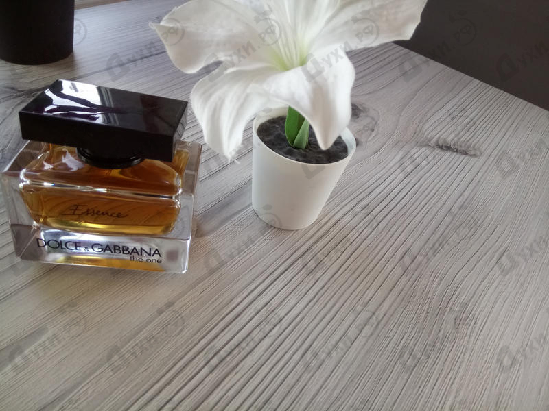 Парфюмерия The One Essence от Dolce & Gabbana
