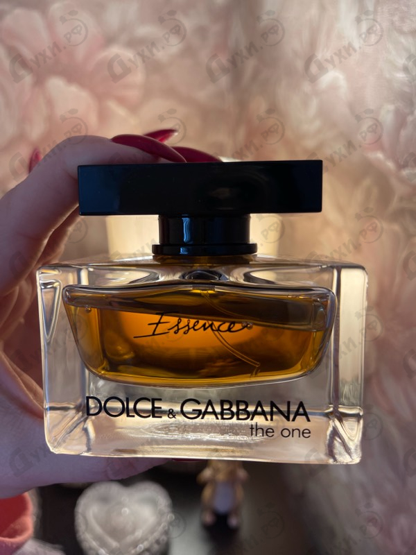 Купить The One Essence от Dolce & Gabbana