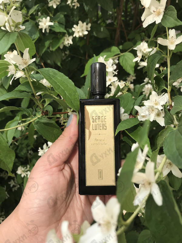 Парфюмерия Serge Lutens Renard Constrictor
