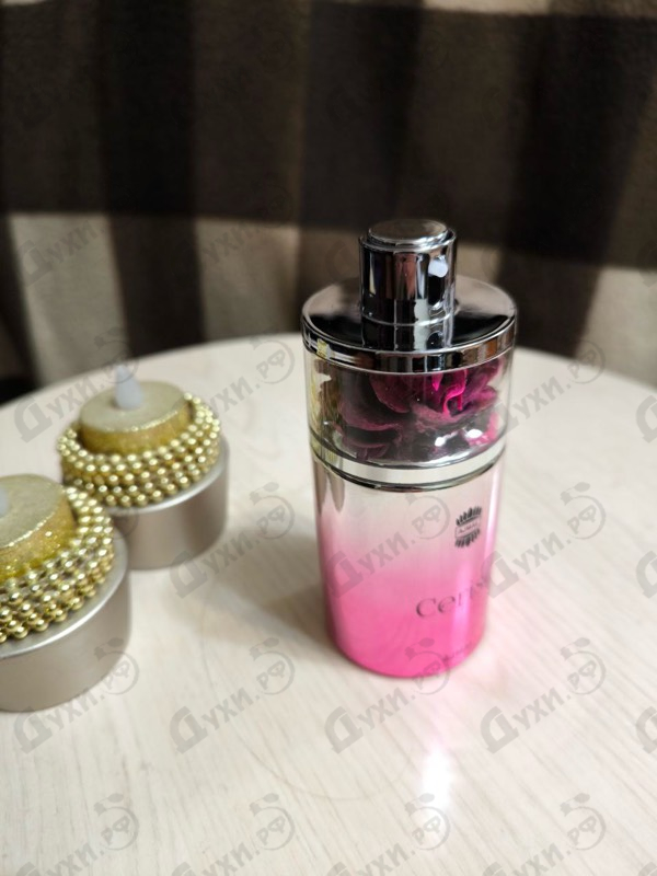 Отзывы Ajmal Cerise
