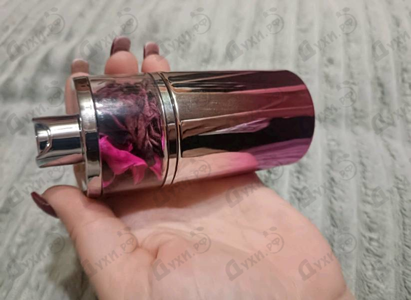 Отзывы Ajmal Cerise