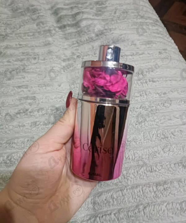 Отзывы Ajmal Cerise