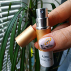 Отзыв Ajmal Cerise