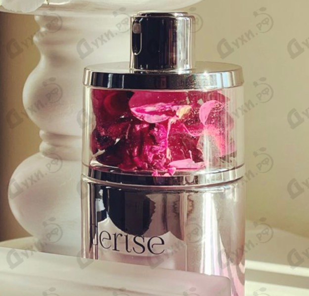 Купить Ajmal Cerise